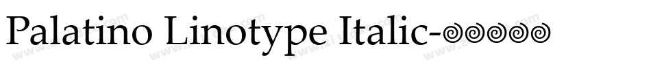 Palatino Linotype Italic字体转换
